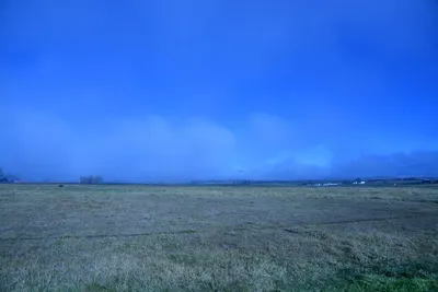 DSC_1025 (Large).JPG